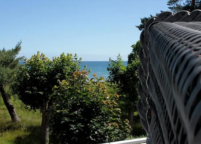 Bluepearl, Charlotte * בינץ